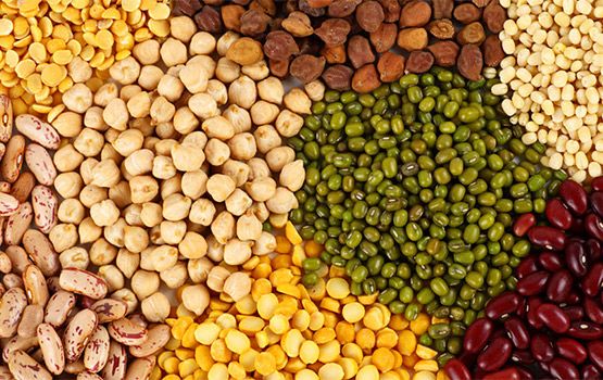 Grains & Pulses