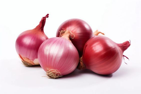 Onion